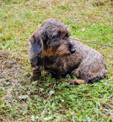 IMG 20250927 1041222 S